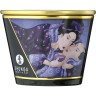 Массажное арома масло в виде свечи SHUNGA EXOTIC FRUITS (ЭКЗОТИЧЕСКИЙ ФРУКТ) 170 ml 4502DESC